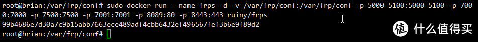 利用Docker搭建FRP内网穿透