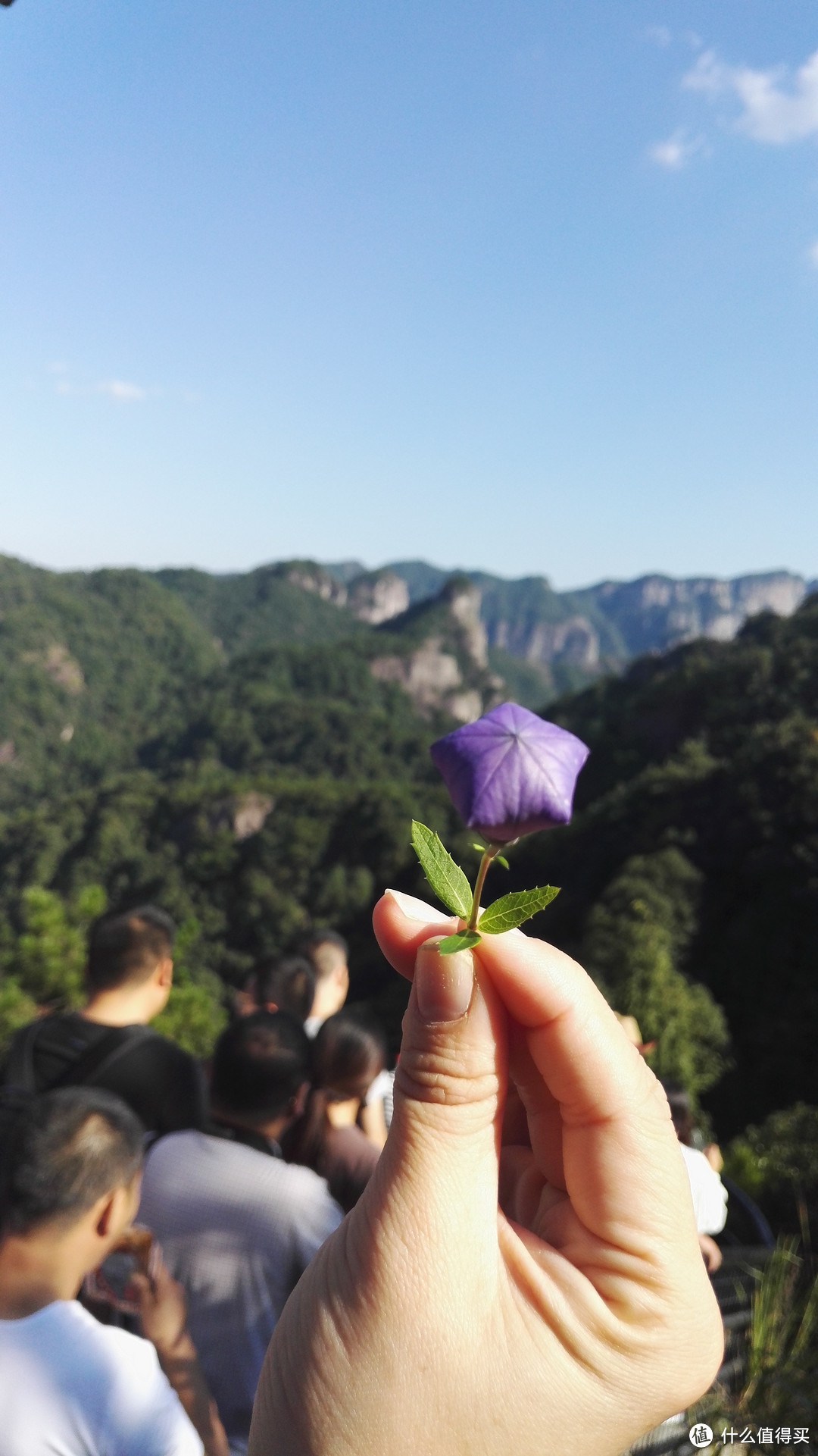 美可以从一朵小花开始