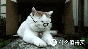 老板点名推荐,新西兰凭什么?