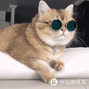 老板点名推荐,新西兰凭什么?