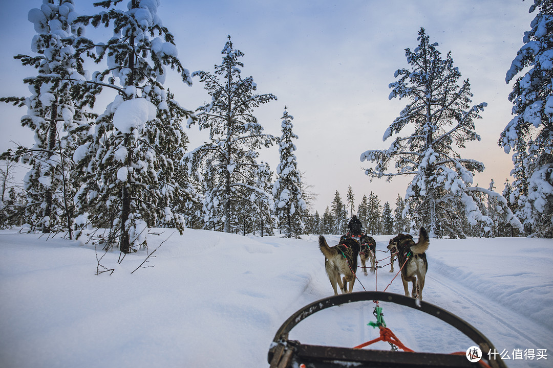 冬季芬兰旅行攻略（自驾看极光看这一篇就够了）