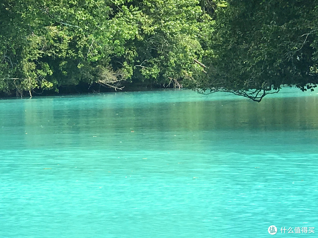 人生就像大海，一浪接着一浪—记帕劳初次水肺潜水