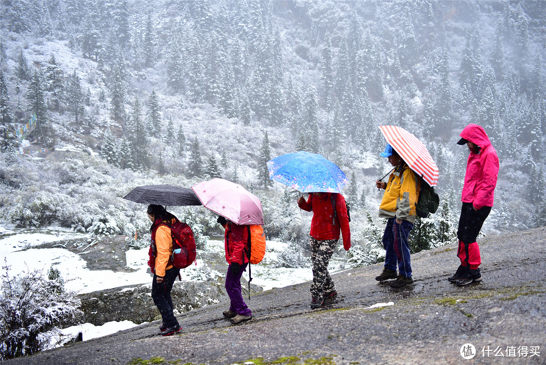 雪中行