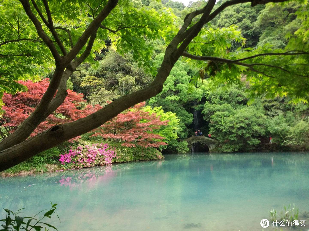 九溪烟树是杭州的的隐藏副本，本地人会推荐的“真”靠谱景点！速来！