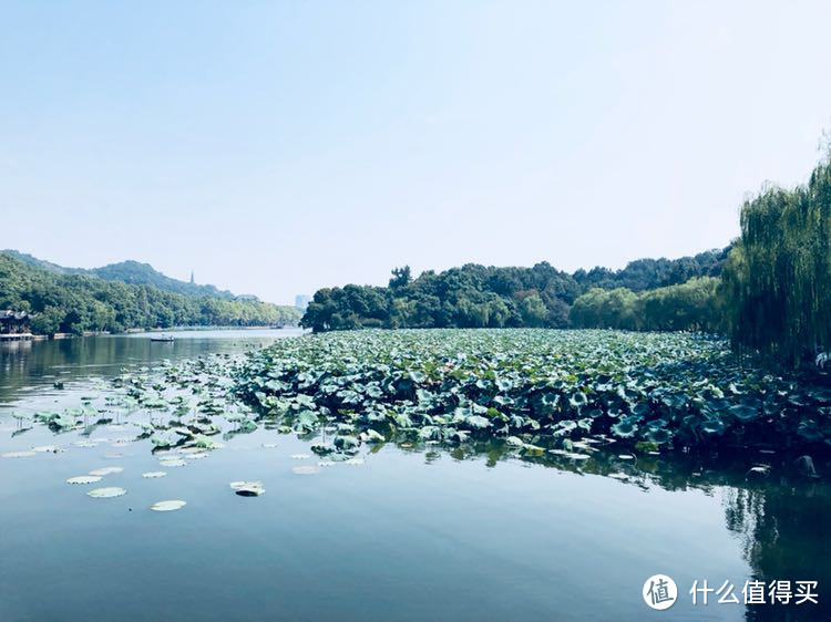 国庆—7天6晚—江浙沪包邮游记—杭州篇