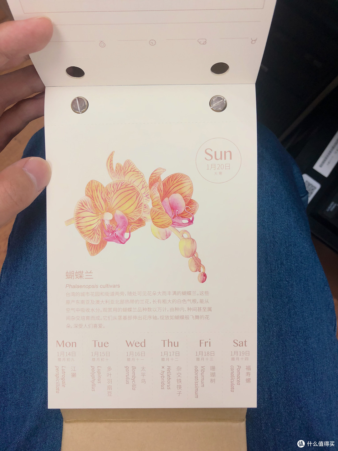 2019物种日历小礼盒版