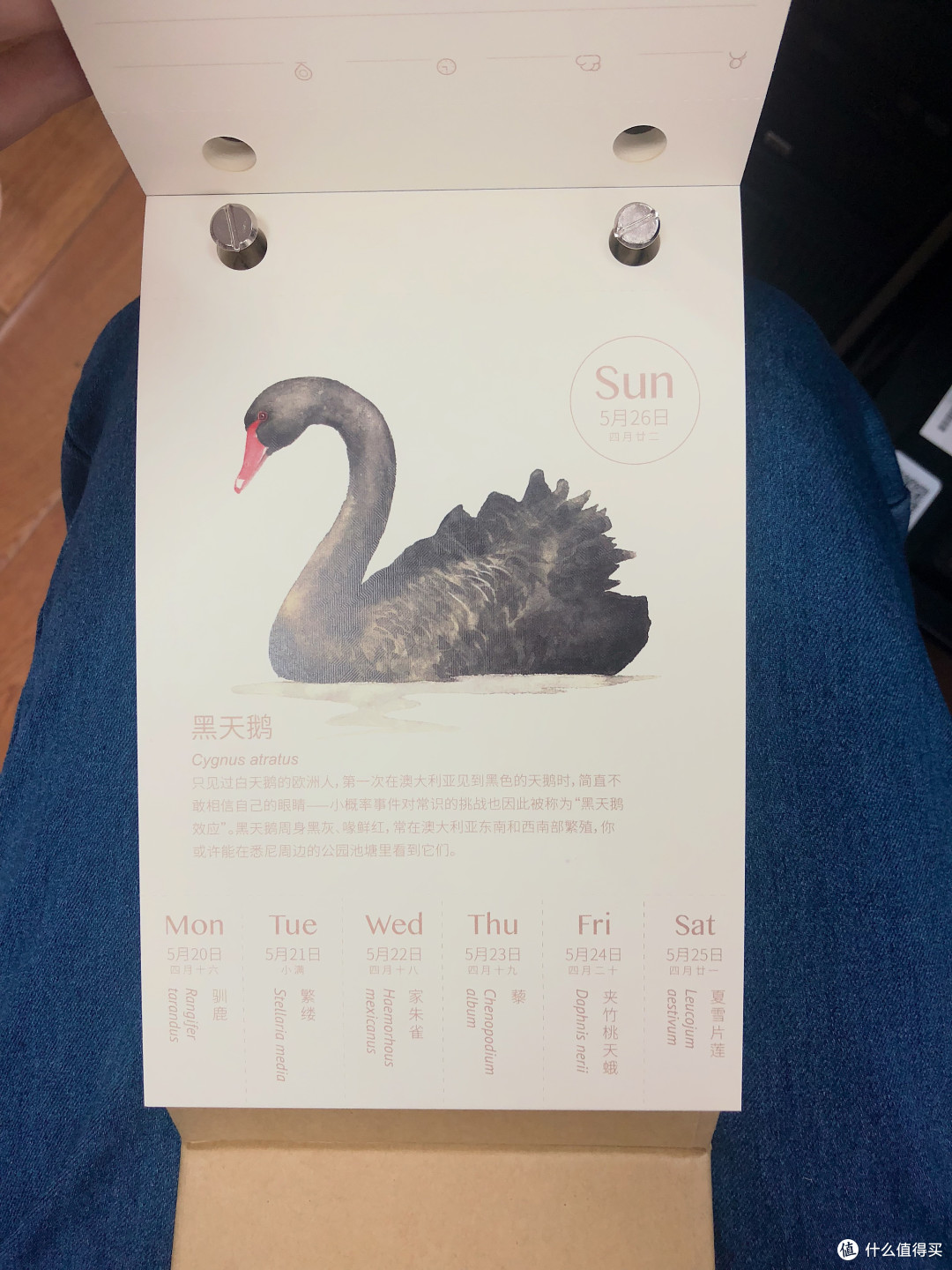 2019物种日历小礼盒版