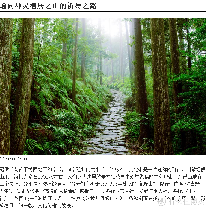 重走伊势路，穿行纪伊半岛熊野古道的近畿与东海中部地方解析