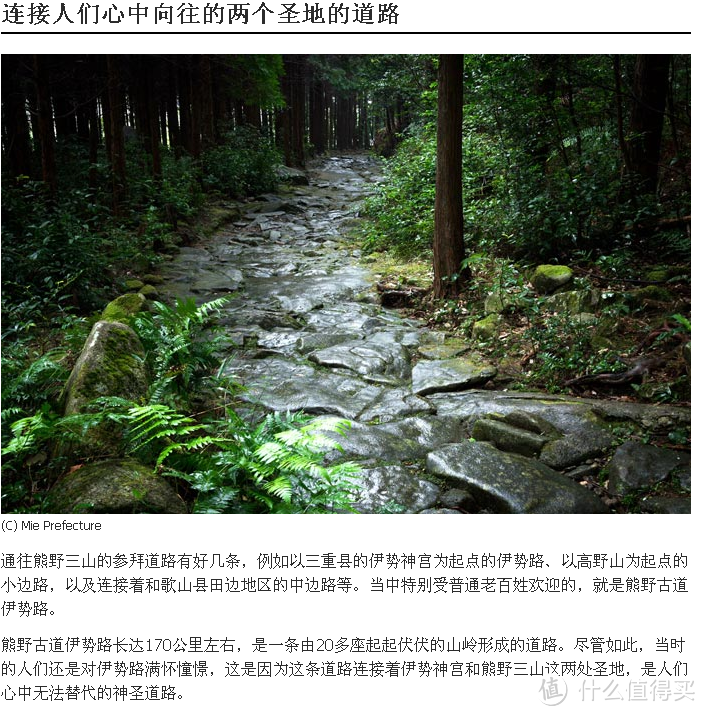 重走伊势路，穿行纪伊半岛熊野古道的近畿与东海中部地方解析