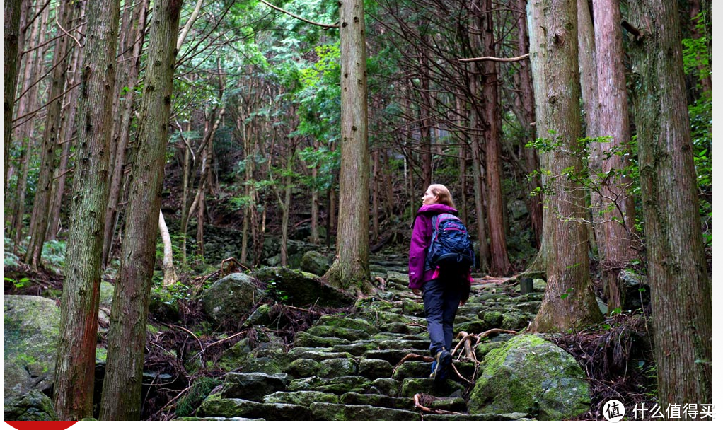 重走伊势路，穿行纪伊半岛熊野古道的近畿与东海中部地方解析