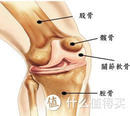 《真健》 篇十：看完这一期，拒绝做“脆膝”