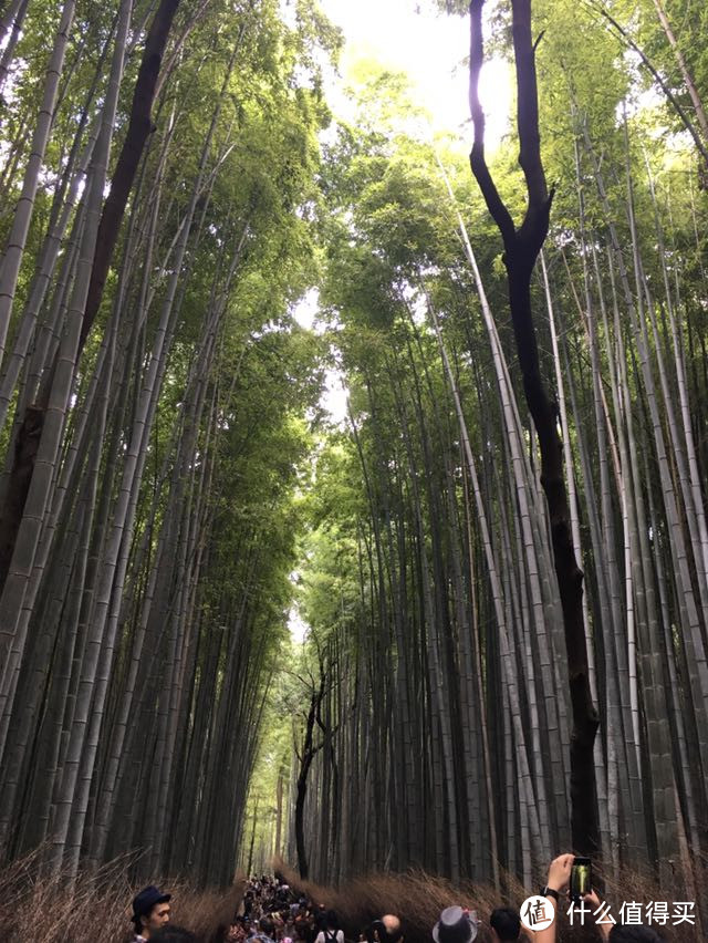 关西自由行游记篇