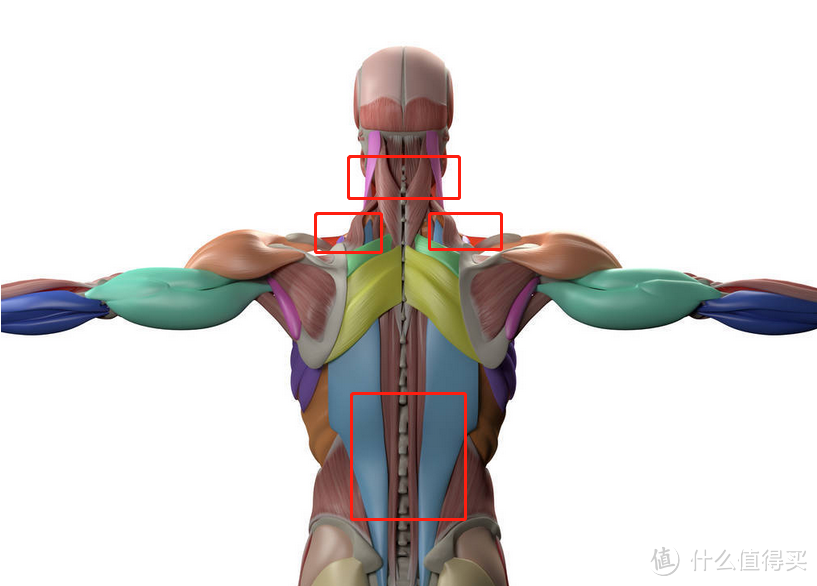 遁入智造 感受宁静—网易3D揉捏按摩肩带