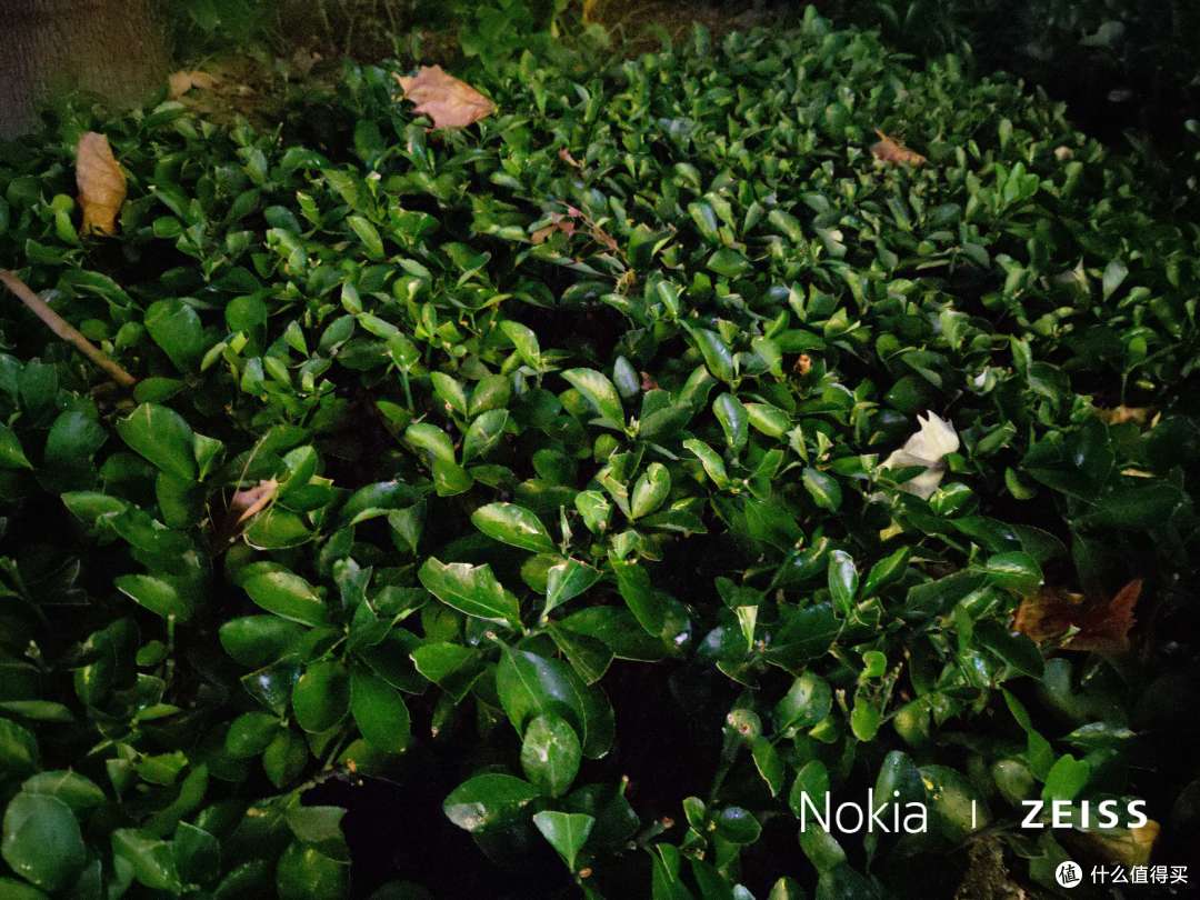 Nokia X7手机体验:浑身上下都“不被定义”