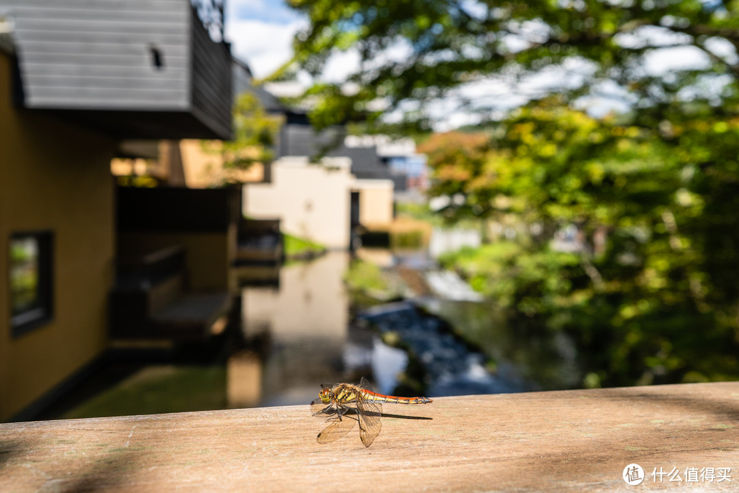 星野集团首家旗舰店—虹夕诺雅·轻井泽 Hoshinoya Karuizawa