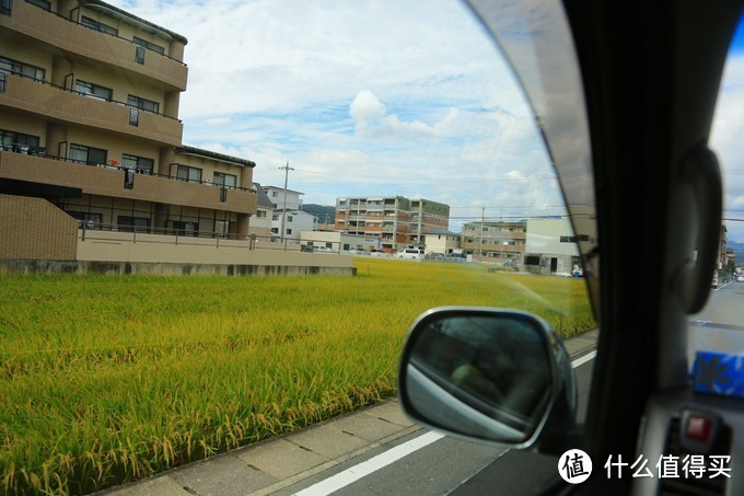 【舌尖上的米其林】篇二，惊魂四季米其林餐厅