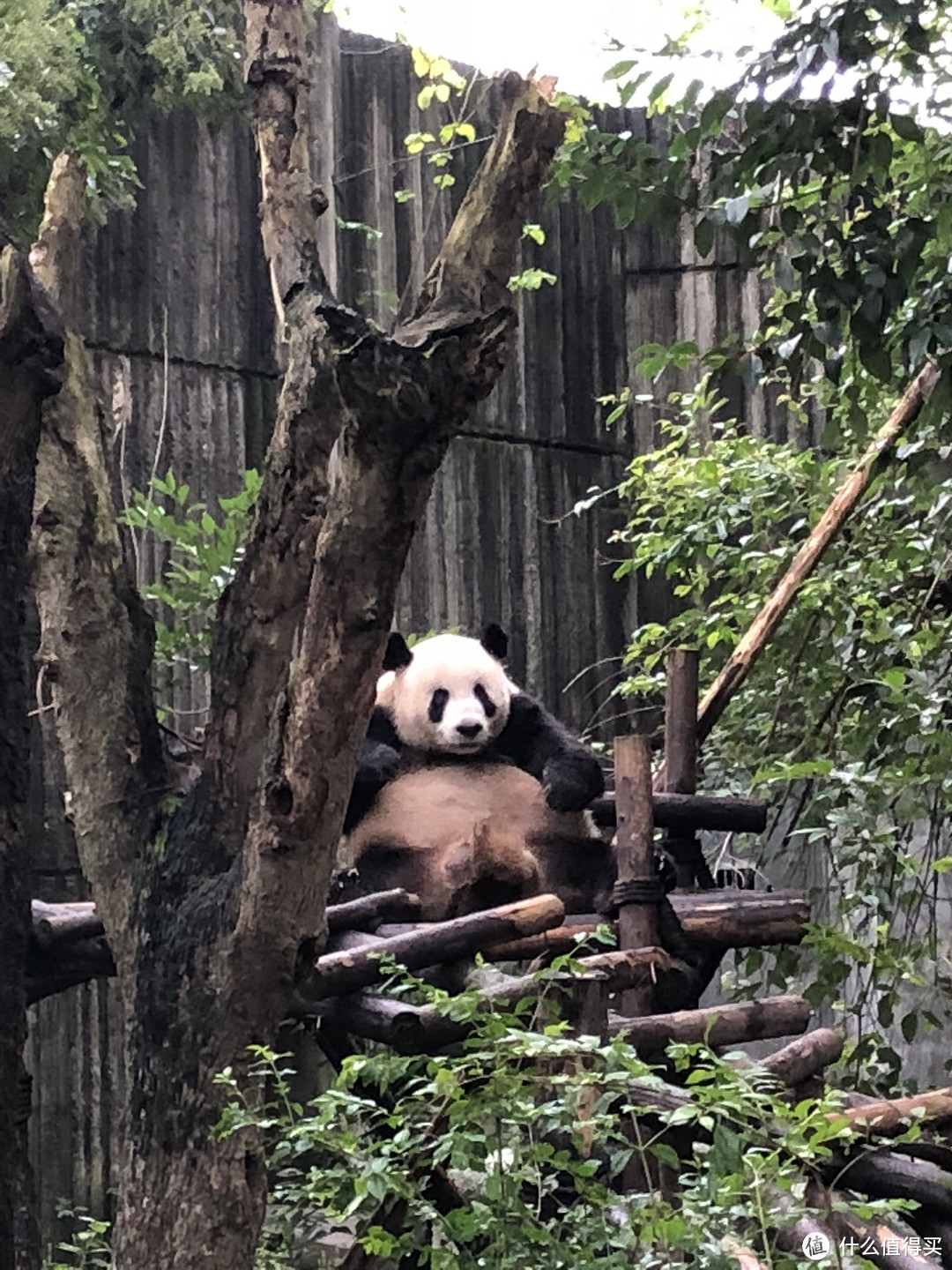 十一川西自驾游 篇三