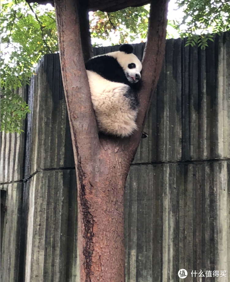 十一川西自驾游 篇三