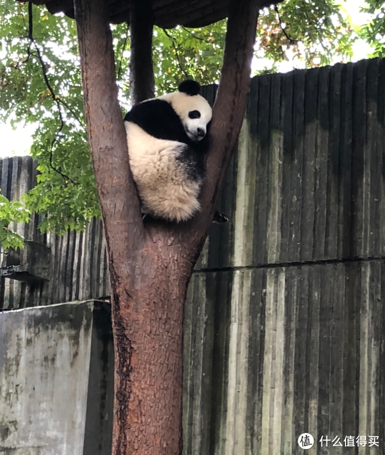 十一川西自驾游 篇三