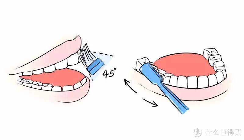 刷牙这件“小事”——贝医生声波电动牙刷评测