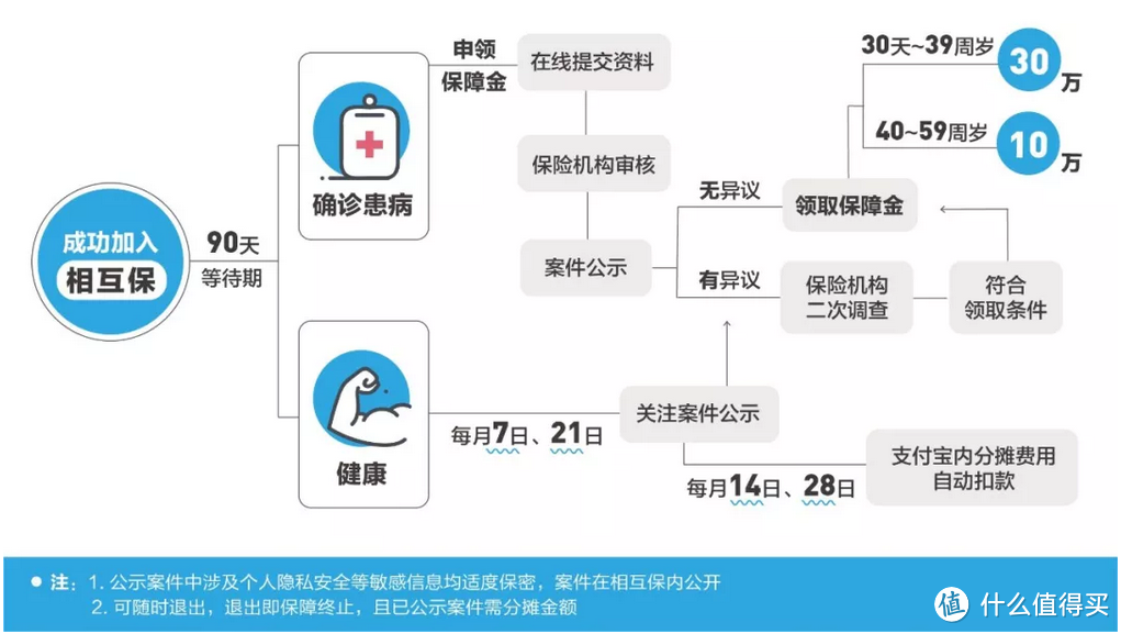 （图自支付宝官方推送）