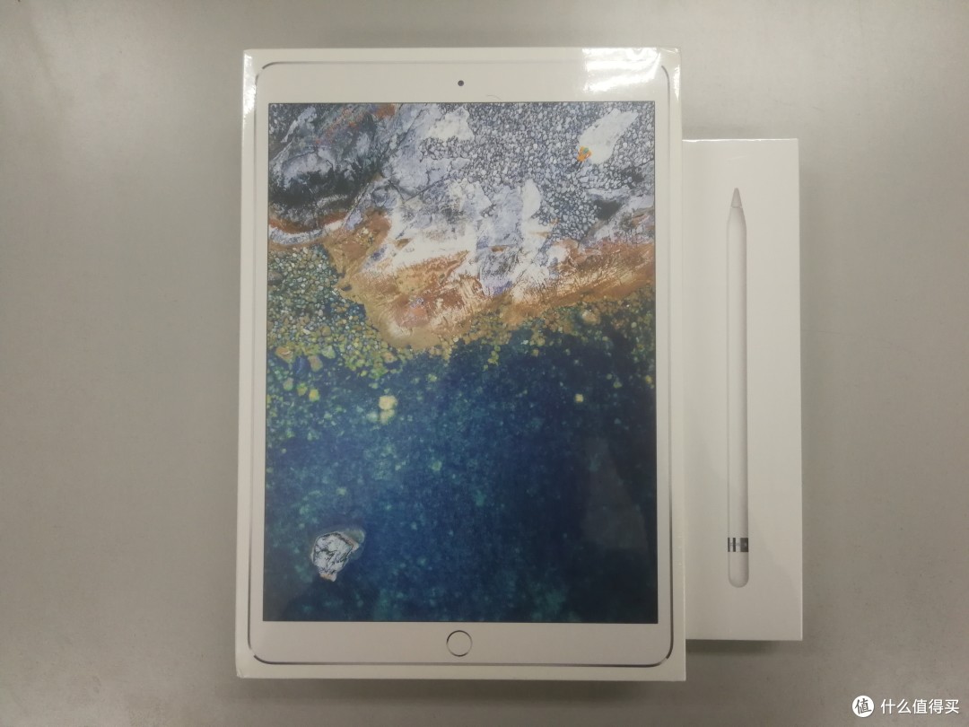 iPad Pro 10.5 WI-FI 64GB + pencil 第一世代 - library.iainponorogo 