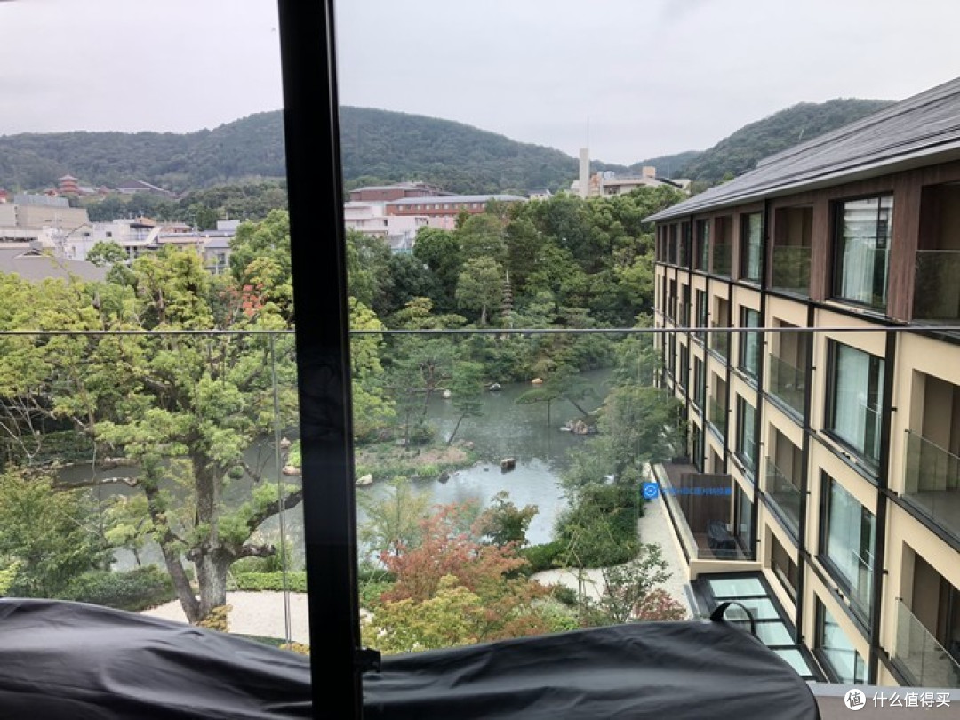 【舌尖上的米其林】篇四,日本的西瓜果然很贵