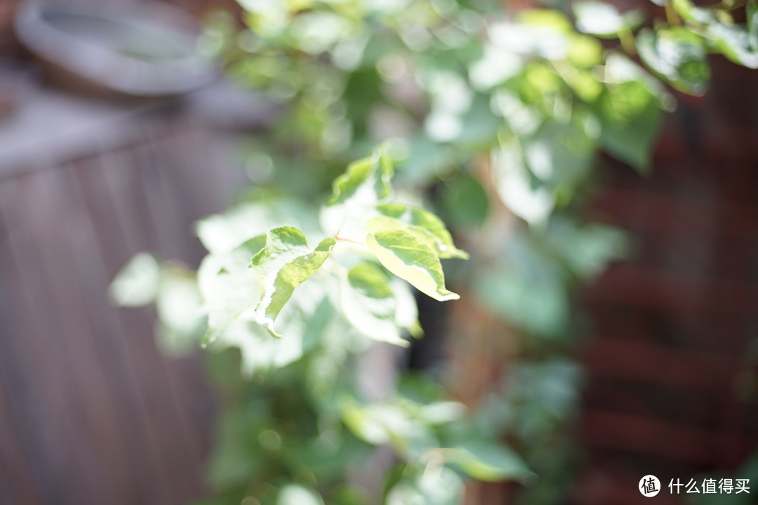 玩老镜头交学费—康泰时50mm F/1.7老镜头不合焦怎么办？