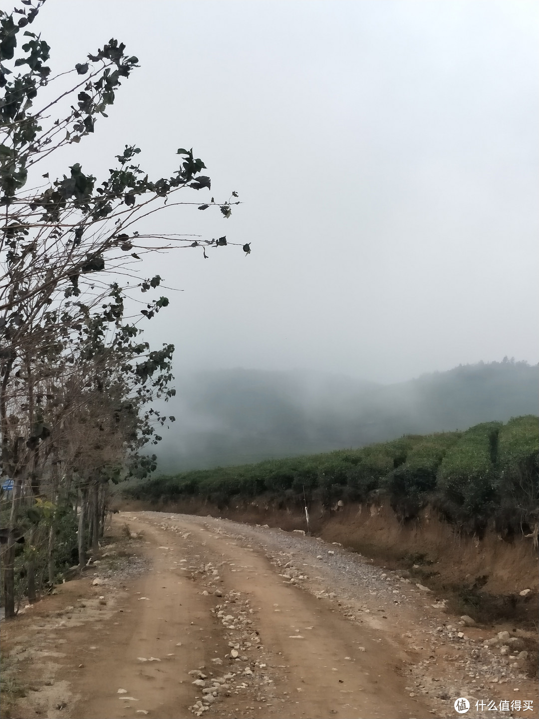 走进山道，准备先去天池看看