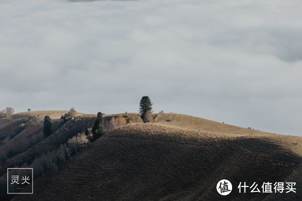 深秋与新疆的约会，假装在瑞士