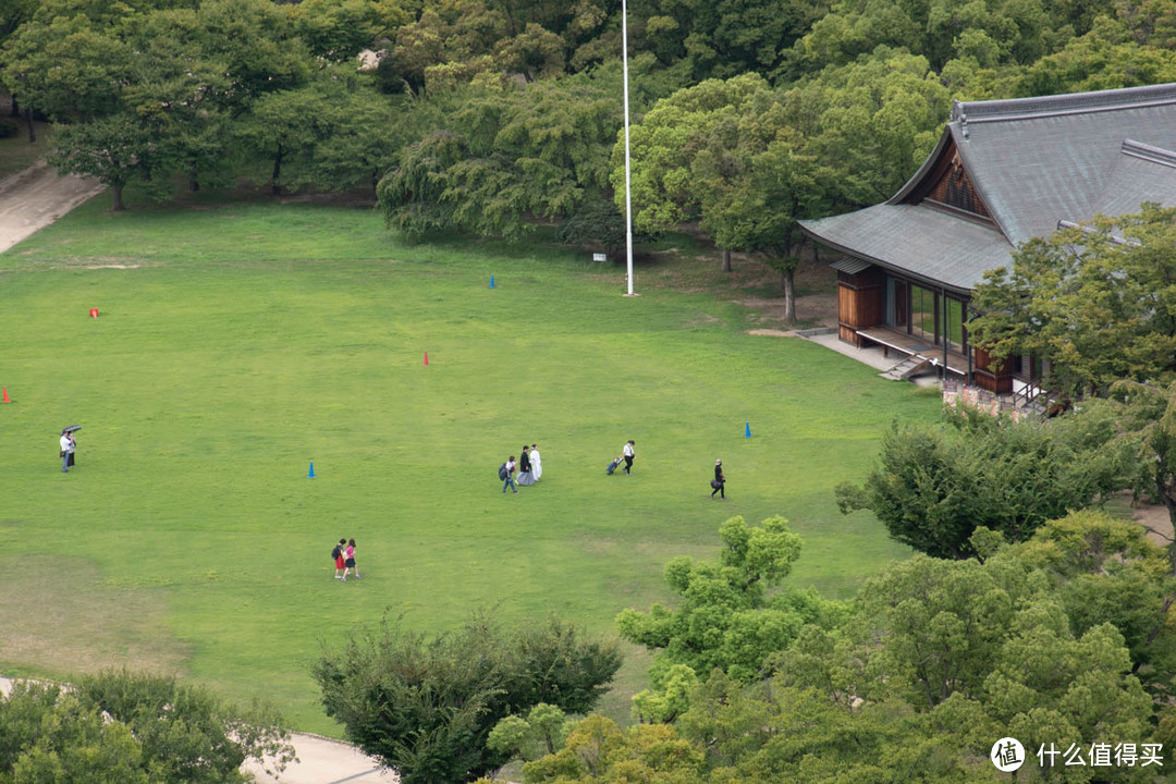 定焦光圈大，变焦方便拍，出门旅游相机镜头组合推荐。