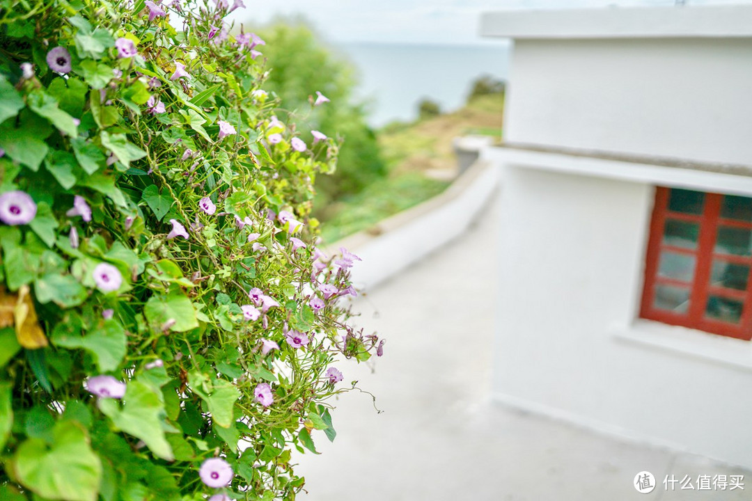 花鸟灯塔