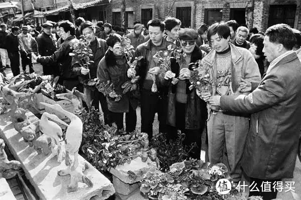 带娃玩杭州，这些地方价廉物美，是本地人都从小玩到大的！