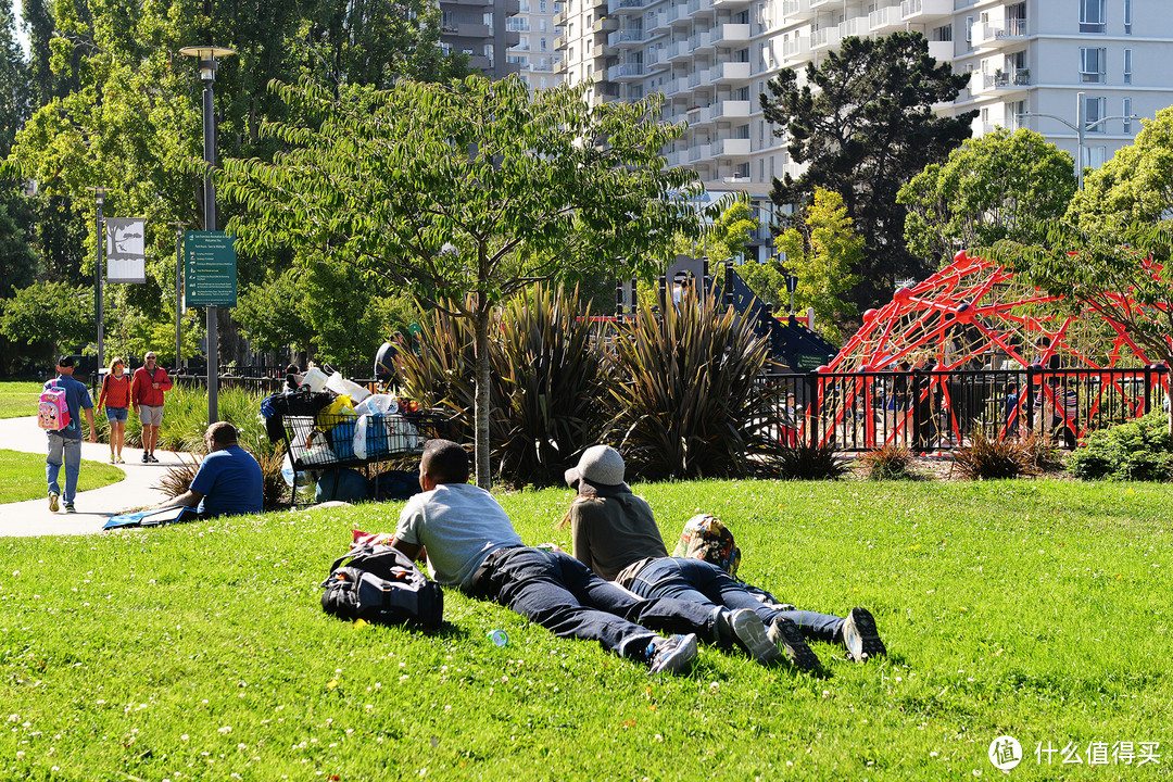 趴草地是美国人民喜闻乐见的日常活动，只要是草坪就趴着不少人