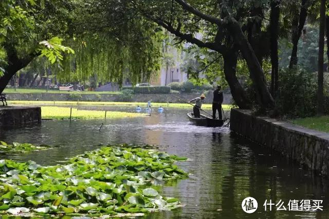 带娃玩杭州，这些地方价廉物美，是本地人都从小玩到大的！