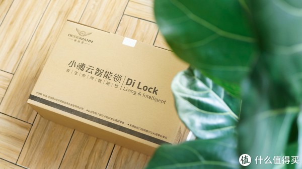 德施曼小嘀智能指纹锁T82 外包装
