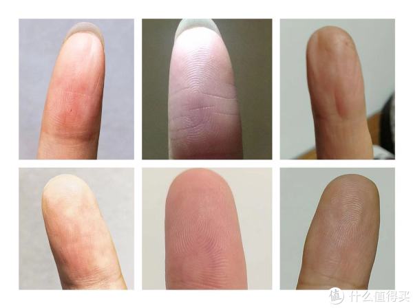 采集指纹模型样本