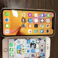 苹果 iPhone XR 智能手机使用感受(屏幕|续航|拍照)