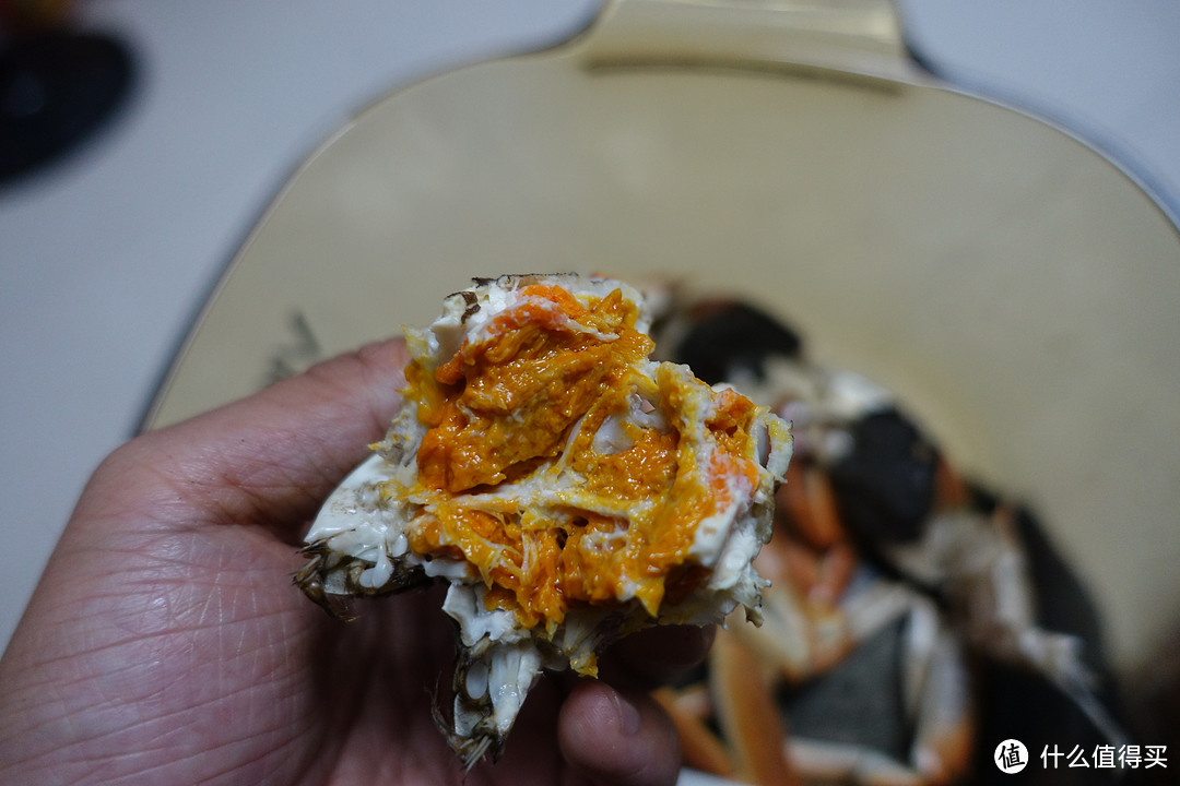 秋风起 品蟹正当时：来自今锦上阳澄湖大闸蟹的金秋蟹鲜盛宴