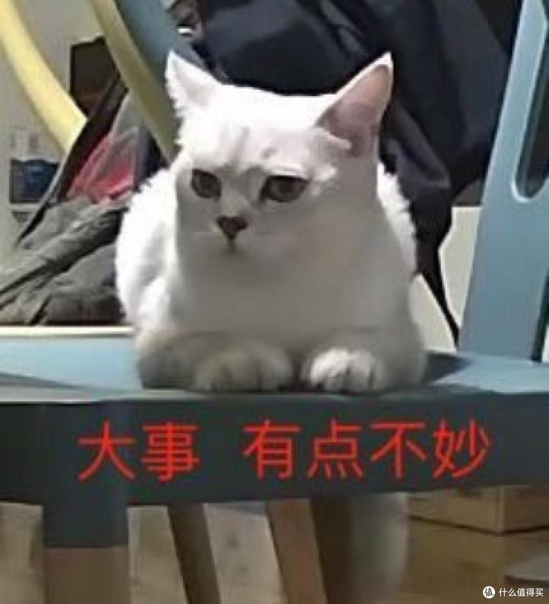 栏目新名字,由你说了算!谁才是“每日话疗”真正的爸爸?