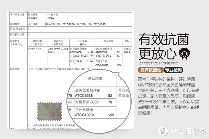 冬天到了，选购羊毛被，你需要知道的那些tips（划重点）