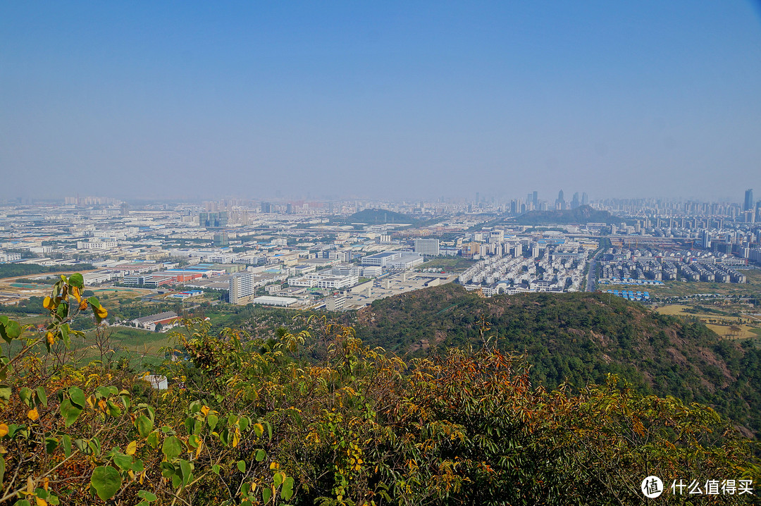 苏州 天平山红叶节