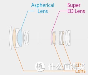 纤毫毕现 富士 XF80mm F2.8 微距镜头 实拍评测