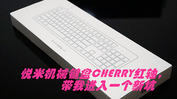 人生第一把机械键盘——悦米机械键盘 104Cherry红轴版