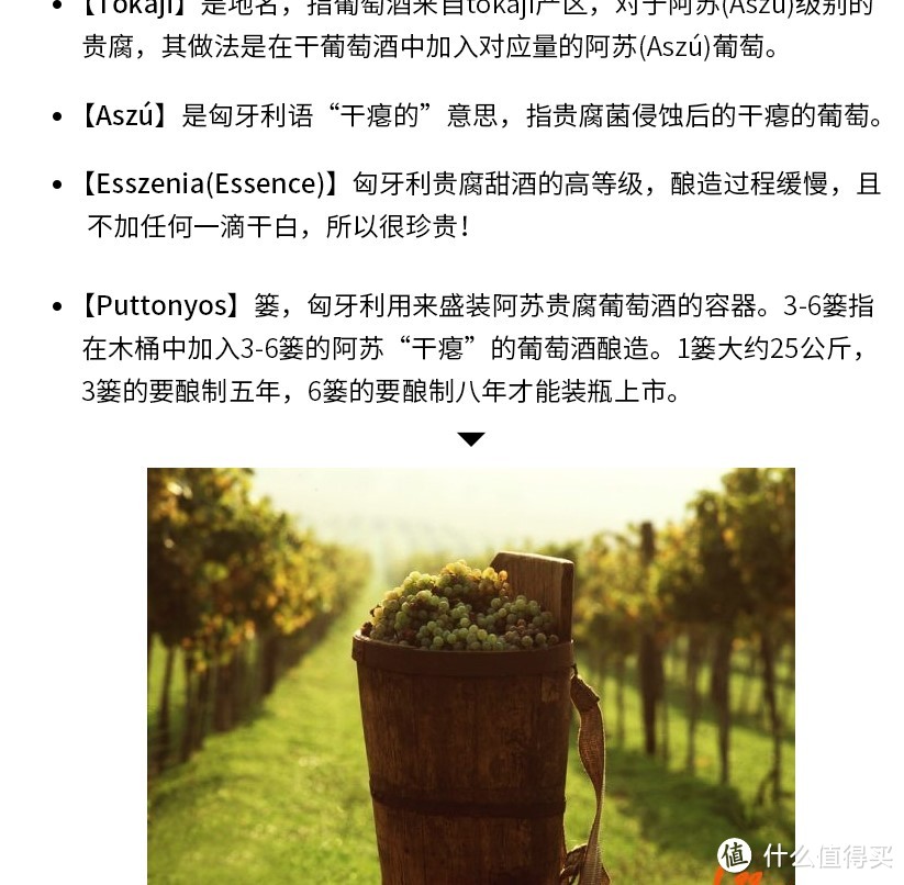 喝点白葡配鳕鱼螃蟹，11.11白葡萄酒推荐套路指南