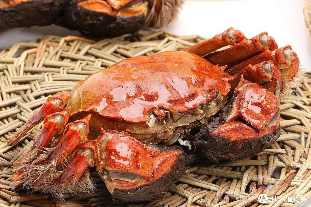 除了大闸蟹，还有哪些值得吃的螃蟹？秋季吃蟹指南来了！