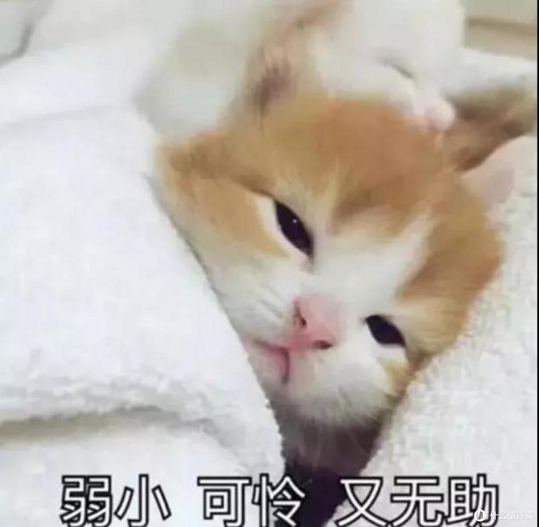 别让搬家毁掉你的生活,打包攻略拿走不谢!