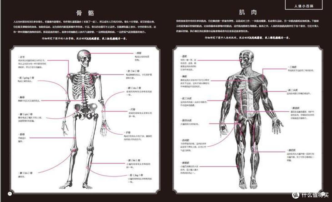 市面上标注适合3-6岁的身体科普书，你买对了几本？