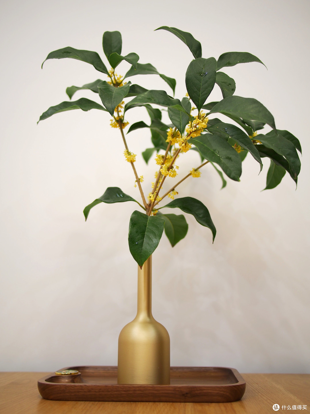 给生活添一点趣味——铜师傅小物开箱