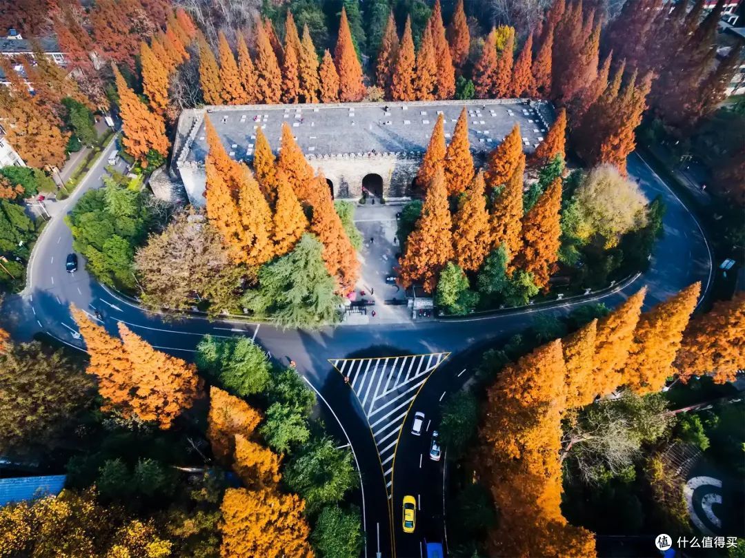 秋风一起,十里红妆—这些“枫”景独好的赏枫地可别再错过了